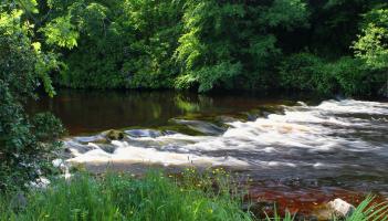 Thousands in funding from Inland Fisheries Ireland awarded to North Leitrim river project