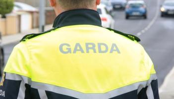 Two arrests made following recent theft incident in South Leitrim