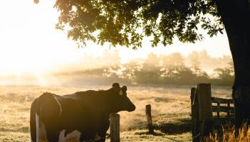 Leitrim farmers to receive over €6M in ANC grant payments starting this week