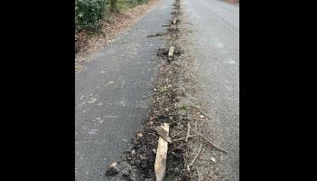 Leitrim Council engineer says farmer threatened bollards “would not remain,” before damage worth €9,700 occurred