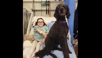 It's a dog's life for assistant canine Mozart at Leitrim school