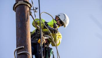 Council to seek forestry corridor progress from ESB ahead of storm season in Leitrim