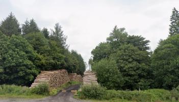 Coillte and councillors discuss vision for first-of-its-kind amenity in North Leitrim village