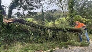 Still no clarity on placement of Leitrim’s three emergency generators