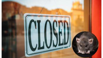 Popular takeaway in Leitrim forced to close after HSE inspector found 'rodent activity'