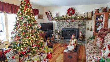 Leitrim County Council will recycle your Christmas tree this January