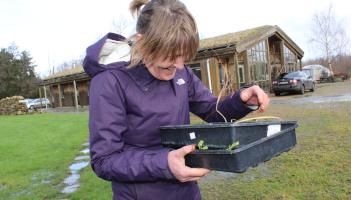 Leitrim gardeners invited to learn how to grow from scratch at one-day course