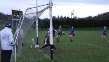 Gulf in class shows as Leitrim whoop Wicklow to stay top of the league