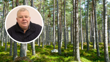 Anger mounts over presence of &lsquo;forestry vultures&rsquo; from the UK across Leitrim