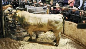 &euro;10,000 stolen from Dowra Mart - Alleged members of crime gang arrested in Leitrim