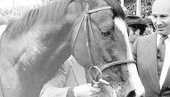 Ballinamore, Leitrim mentioned as possible burial site in Shergar Documentary