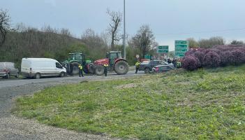 Protestors to join IFA delegation in the &nbsp;D&aacute;il today, says Leitrim IFA Regional Executive