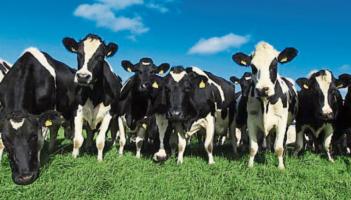 Leitrim IFA chairman - 'It's wrong to say that this can happen or would be allowed to happen'