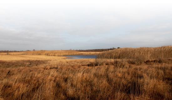 Will GAEC 2 affect planning in Leitrim? Council responds