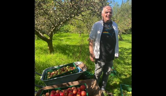 Leitrim&rsquo;s Organic Centre gears up for 30th Apple Day with record harvest