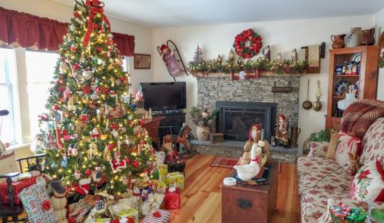 Leitrim County Council will recycle your Christmas tree this January