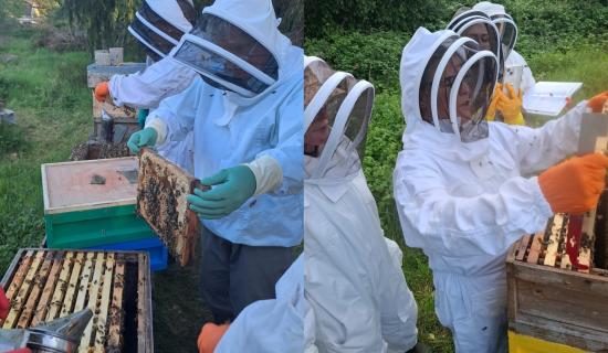 Beginners beekeeping course and information day announced in Leitrim