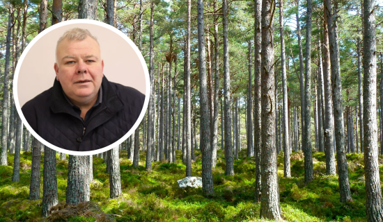 Anger mounts over presence of &lsquo;forestry vultures&rsquo; from the UK across Leitrim