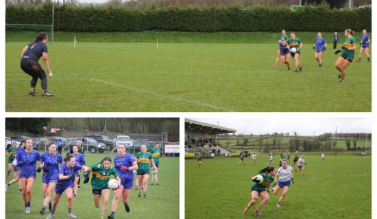 Gallery: Leitrim put Wicklow to the sword in Ballinamore
