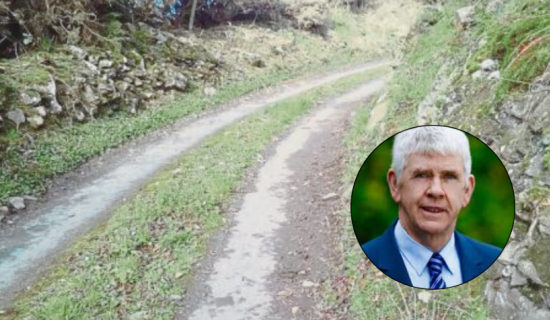 Councillor disappointed as Leitrim&rsquo;s &lsquo;Grossly inadequate&rsquo; LIS allocation announced