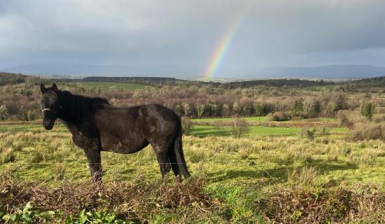 Walkers set for Drumreilly Community Camino this May