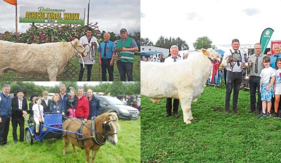 Funding boost for Leitrim agricultural shows ahead of summer season