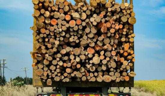 'Worst case scenario is the hauliers going out of business' - Leitrim hauliers comment