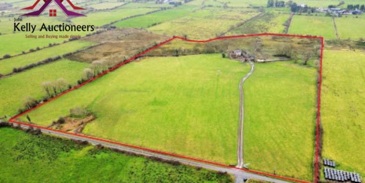 Excellent quality farmlands in Roscommon with incredible potential has just hit the market