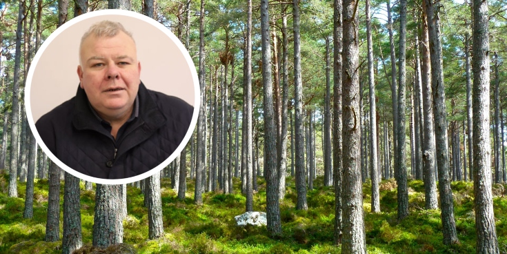 Anger mounts over presence of &lsquo;forestry vultures&rsquo; from the UK across Leitrim