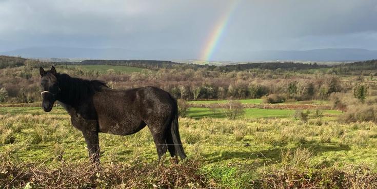 Walkers set for Drumreilly Community Camino this May