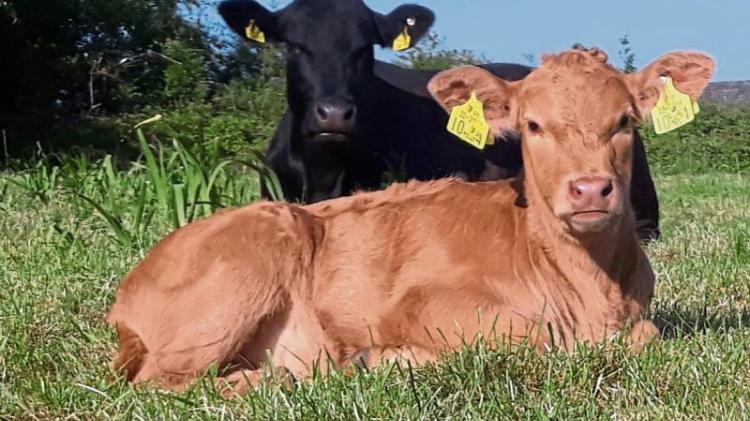 Leitrim farmers need 'copper-fastened guarantee that we will be compensated'