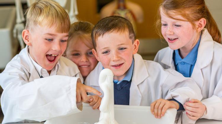 Celebrating curiosity as STEMtacular returns to Leitrim for two-day event