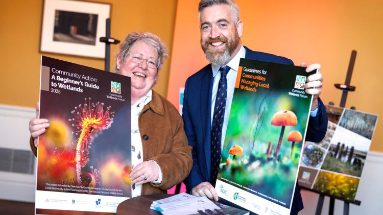 Landmark guide seeks to link communities and artists through wetlands