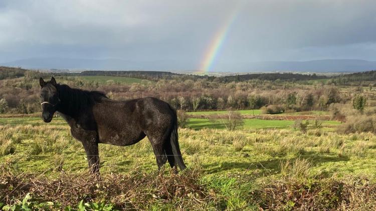 Walkers set for Drumreilly Community Camino this May