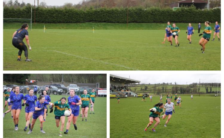 Gallery: Leitrim put Wicklow to the sword in Ballinamore