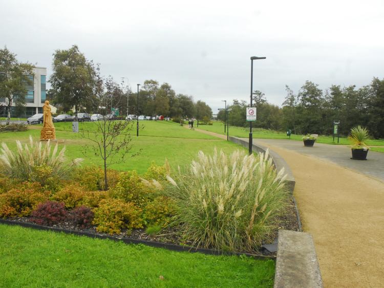 CarrickonShannon cleans up in Tidy Towns competition Leitrim Observer