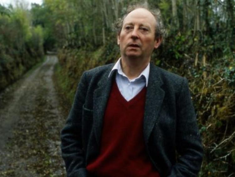 John mcgahern mcgahern john essay picture