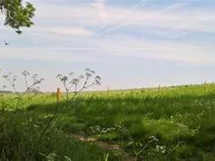 Finally some dry weather is on the way Leitrim Observer