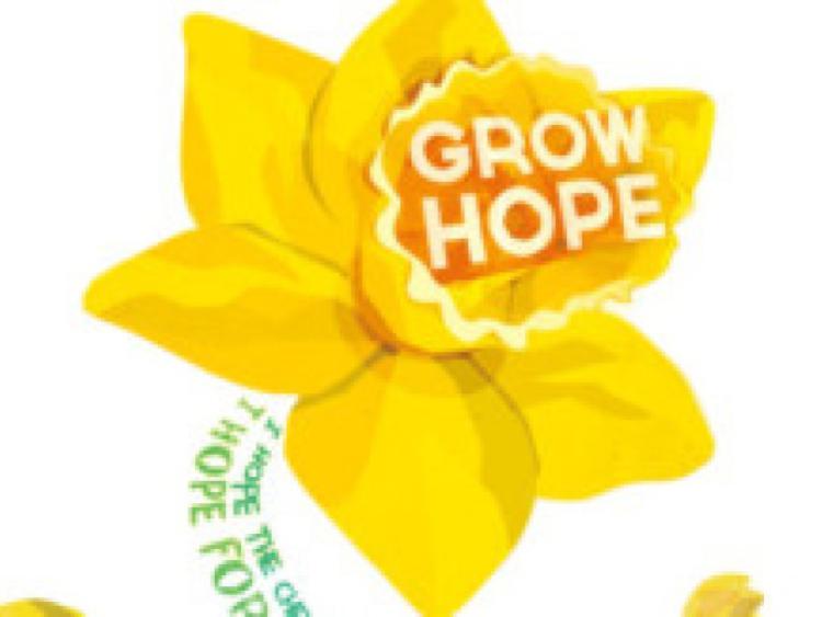 Cancer Society express thanks after Daffodil Day Leitrim Observer