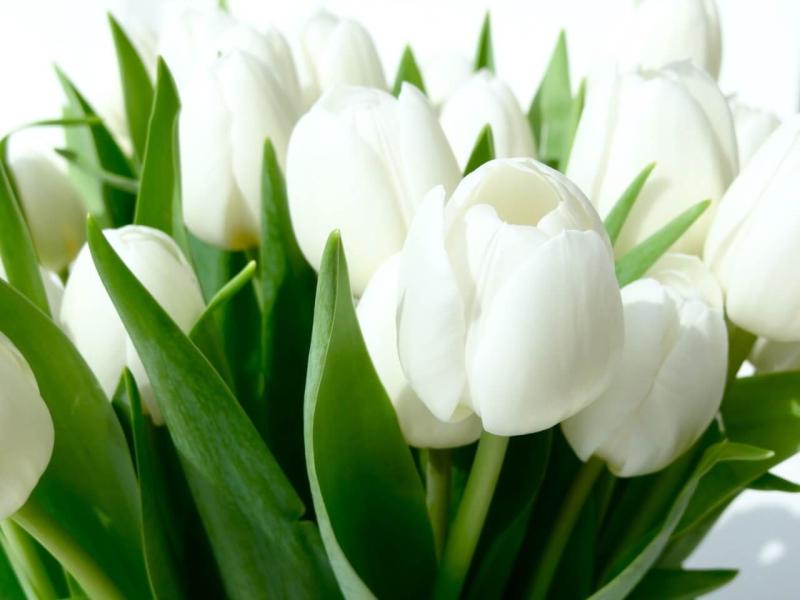 Recent deaths in the Leitrim area