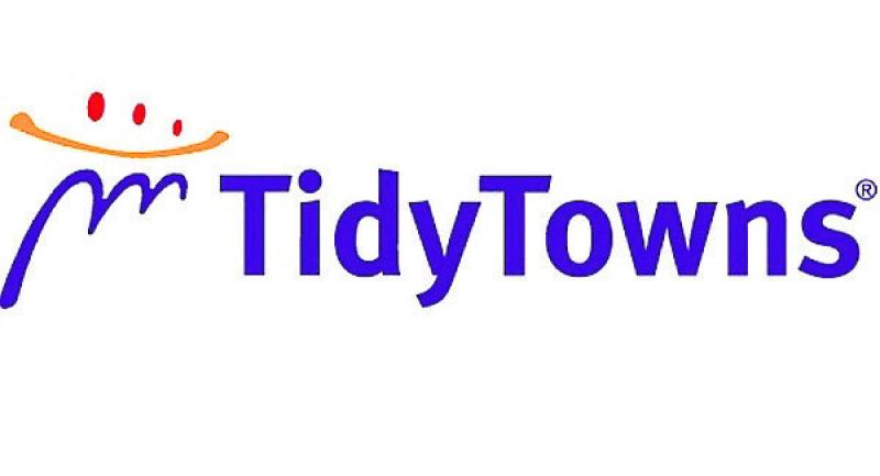 Dromod wins Co Leitrim's tidiest town