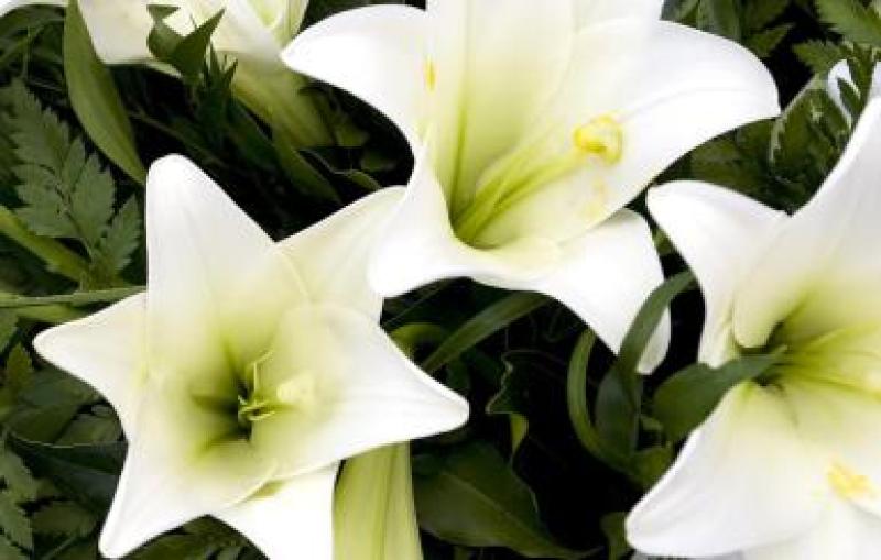 Recent deaths in the Leitrim area