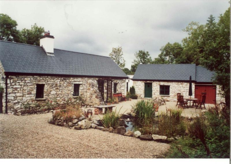 Two new properties come onto the Leitrim market