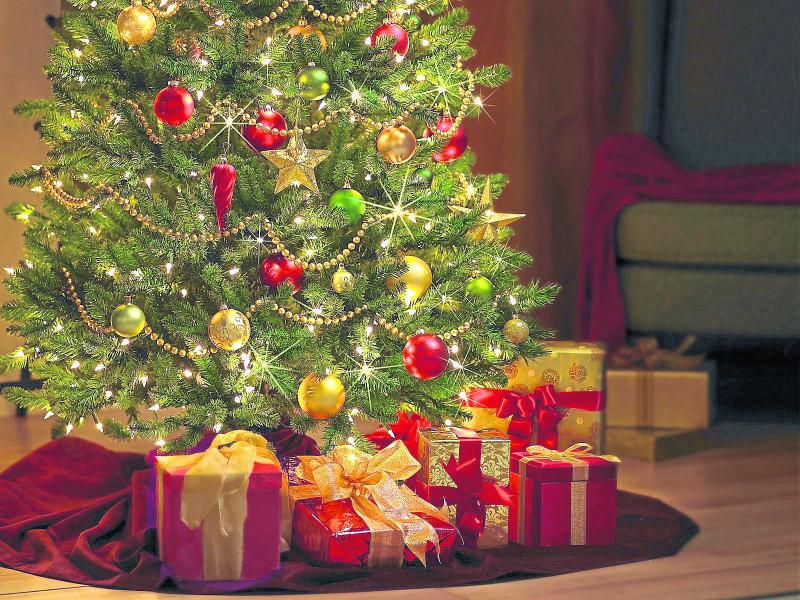 72% of Observer readers wait to put Christmas tree up