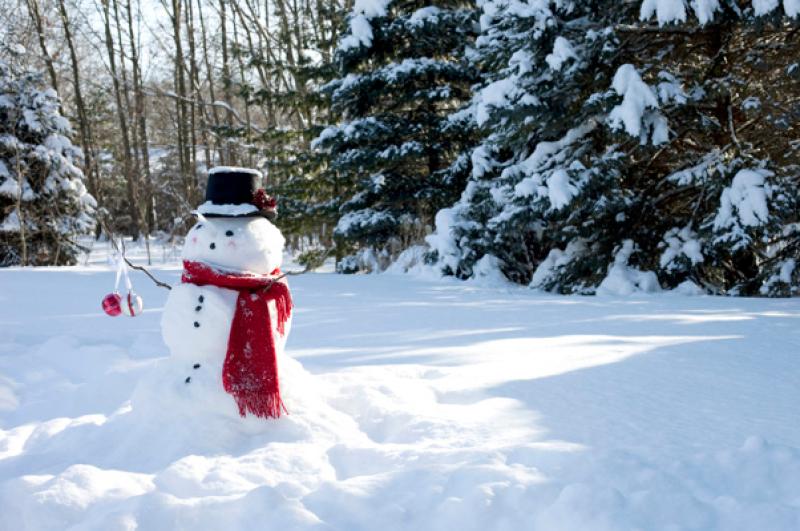 S'no chance of a white Christmas this year