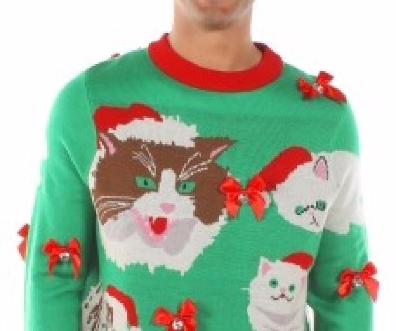 Hold a Christmas jumper day in Leitrim