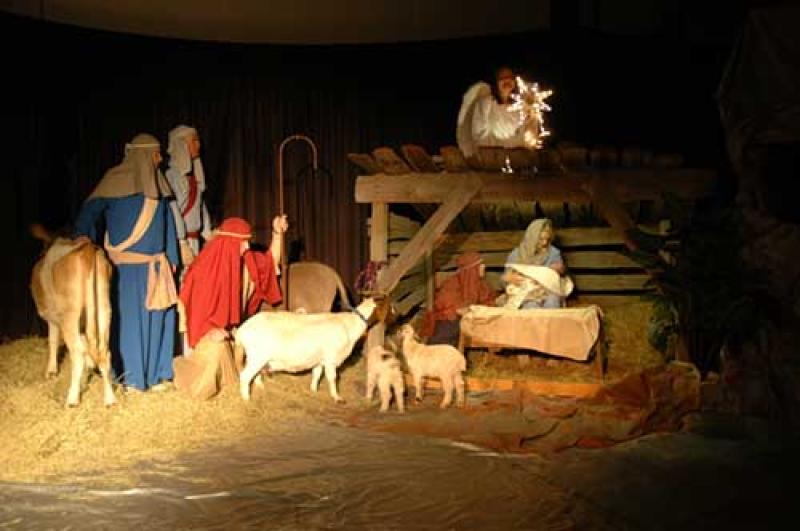 Live Nativity in Killargue