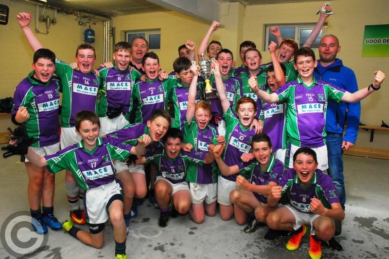 Centre of Excellence will be catalyst for Leitrim GAA