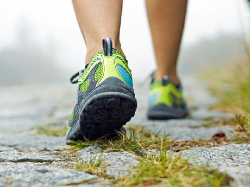 Operation Transformation walks in Leitrim