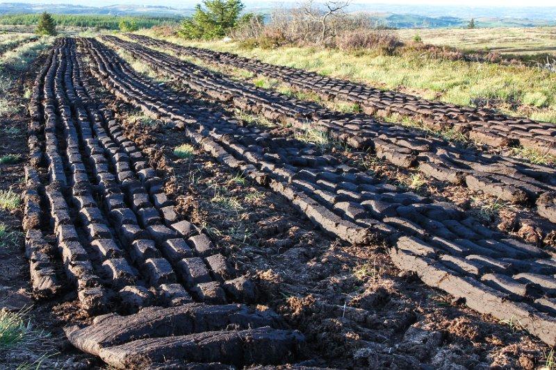 "Winning turf" in Leitrim 